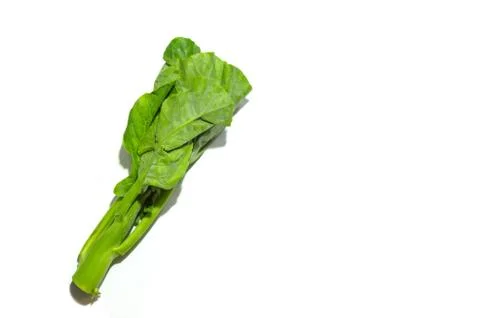 Fresh kale Stock Photos