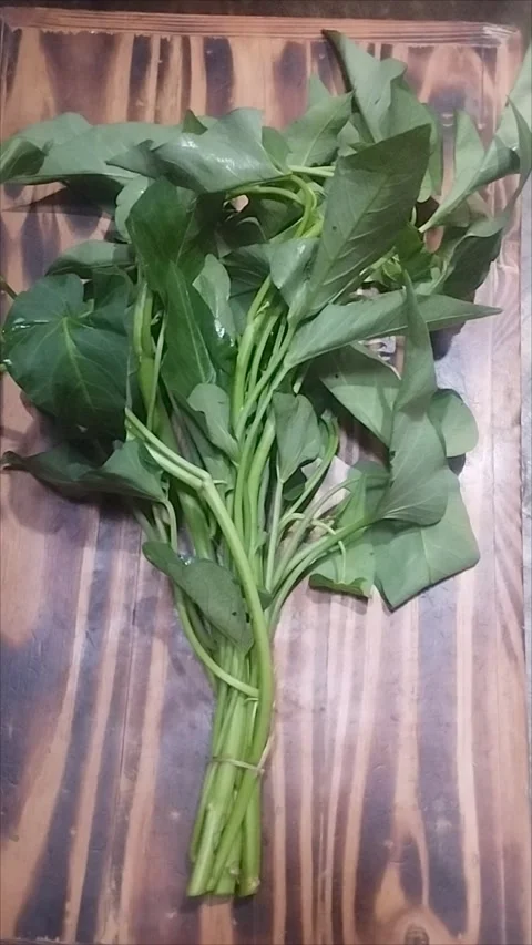 Fresh kale is on the table Stock Footage 291763114