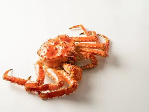 Fresh king crab on white background Stock Photos