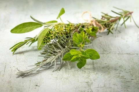 Fresh Kitchen Herbs Stock Photos