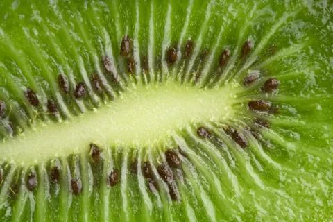 Fresh kiwi background Stock Photos