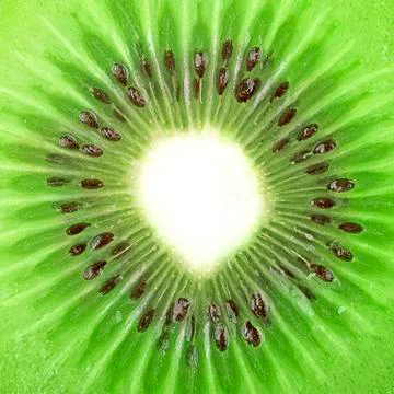 Fresh Kiwi background Stock Photos