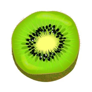 Fresh Kiwi Fruit Half Isolated Colourful Element Stock Illustration