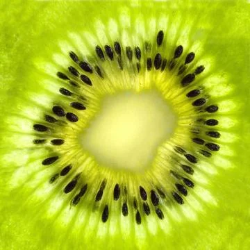 Fresh kiwi slice background Stock Photos