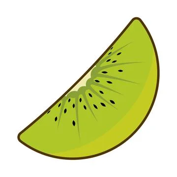 Fresh Kiwi Slice Vector Illustration Stock Illustration