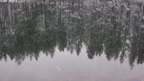 Fresh lake water reflection during fresh morning snow fall Stock Footage 255661702