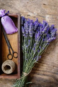 Fresh lavender Stock Photos