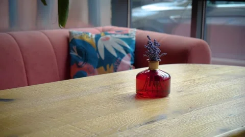 Fresh lavender in a vase Video stock 280108131