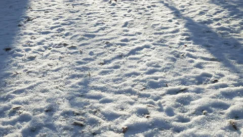 Fresh layer of white snow on the ground glistens in the sun Stock-Footage 144979963