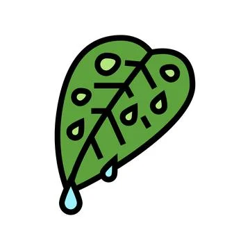 Fresh leaf color icon vector illustration Stock Illustration