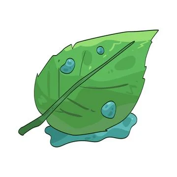 Fresh leaf illustration Stock Illustration