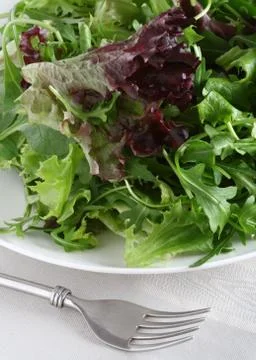 Fresh leaf salad with fork on gray  tea-cloth Stock Photos