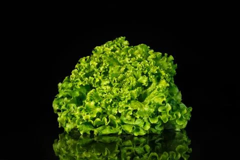 Fresh Leaf Salad Foto stock