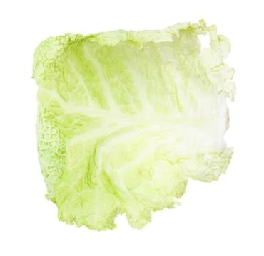 Fresh leaf of savoy cabbage vegetable isolated Stock Photos
