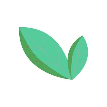 Fresh leaf vector cartoon illustration Stock Illustration
