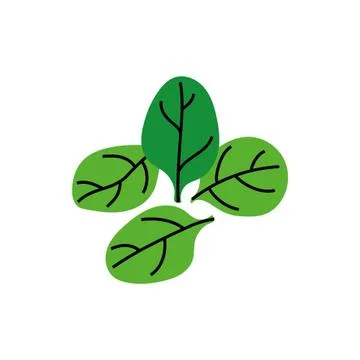 Fresh leafs vegetable healthy isolated icon イラスト素材