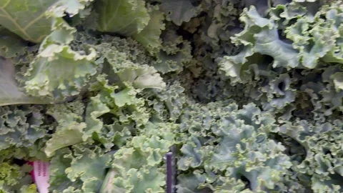 Fresh Leafy Green Vegetables Concept Food Recall Stock Footage 340039969