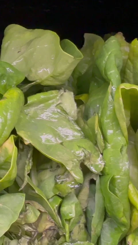 Fresh Leafy Green Vegetables Concept Food Recall Stock Footage 340039971