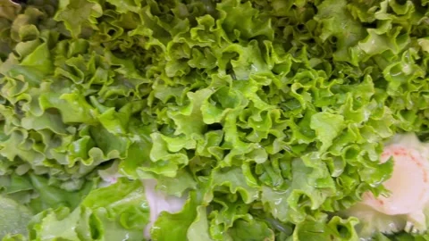 Fresh Leafy Green Vegetables Concept Food Recall Stock Footage 340039973