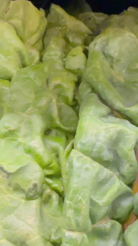 Fresh Leafy Green Vegetables Concept Food Recall Stock Footage 340039974