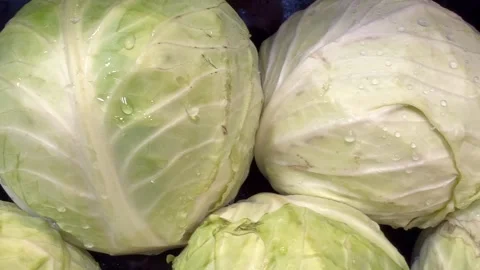 Fresh Leafy Green Vegetables Concept Food Recall Stock Footage 340039976