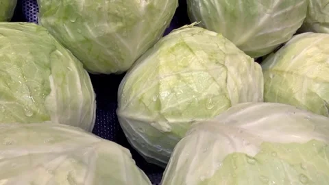 Fresh Leafy Green Vegetables Concept Food Recall Stock Footage 340039977