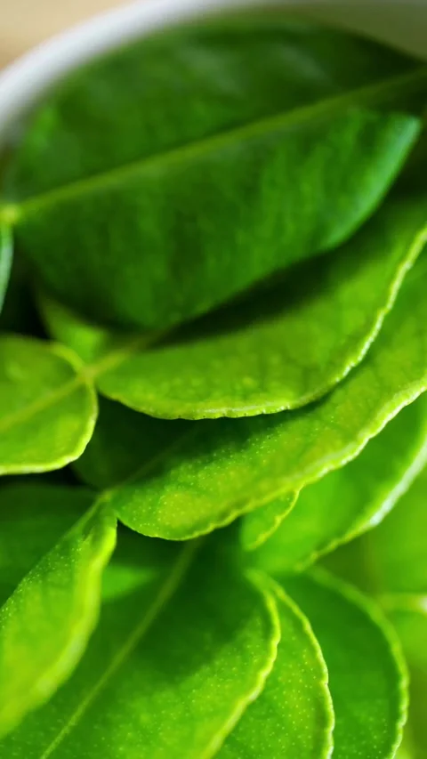 Fresh Leaves Filled Inside A Small Metal Bowl 스톡 동영상 331763776