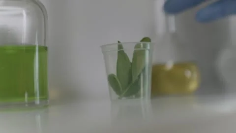 Fresh leaves in a small cup, next to a bright green liquid and glass containers. Stock Footage 303683972