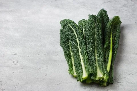 Fresh leaves of tuscan black cabbage or cavolo nero or lacinato kale on a gray Stock Photos