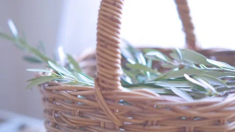 Fresh leaves in wicker basket Video stock 76139300