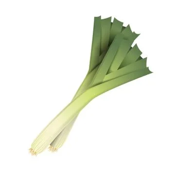 Fresh leek leaf. 3D realistic vector onion leaves. Healthy aroma. Isolated on Stock Illustration