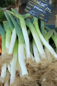 Fresh leek Foto stock
