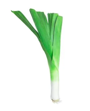 Fresh leek Stock-Fotos