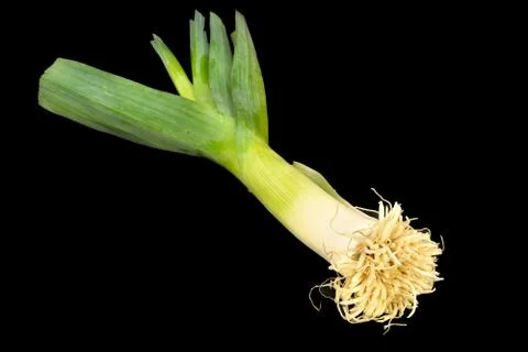 Fresh leek Stock Photos