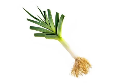 Fresh leek on a white background,  selective focus Stock Photos