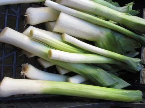 Fresh leeks Stock Photos