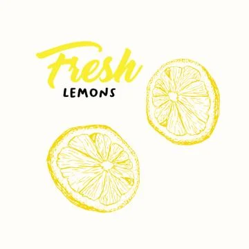 Fresh lemon color vector illustration Stock Illustration