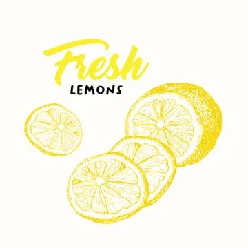 Fresh lemon color vector illustration Stock Illustration