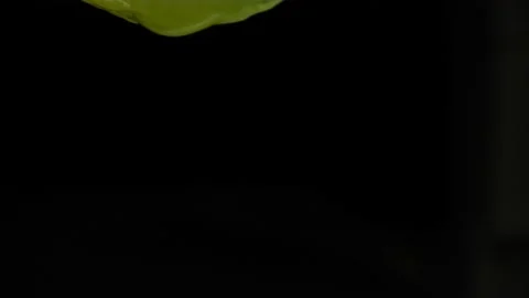 Fresh lemon dropping water in light background closeup. Stock Footage 236591149