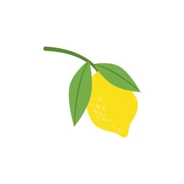 Fresh lemon fruit. Stock Illustration