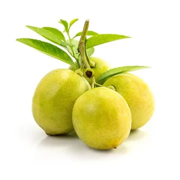 Fresh lemon fruit Stock Photos