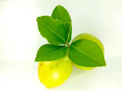 Fresh lemon fruit Foto stock