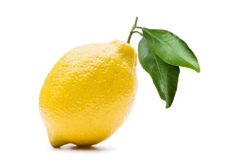 Fresh lemon fruit Stock Photos
