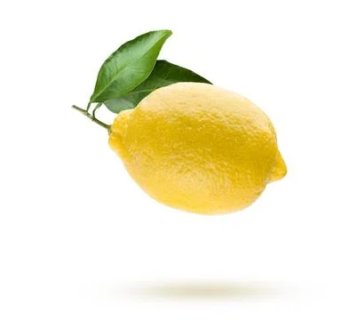 Fresh lemon fruit Stock Photos