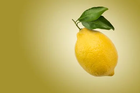 Fresh lemon fruit Stock Photos