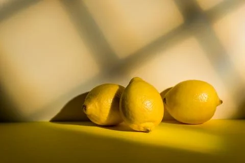 Fresh lemon fruit Stock Photos