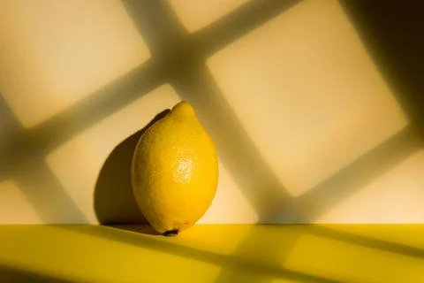 Fresh lemon fruit Stock Photos