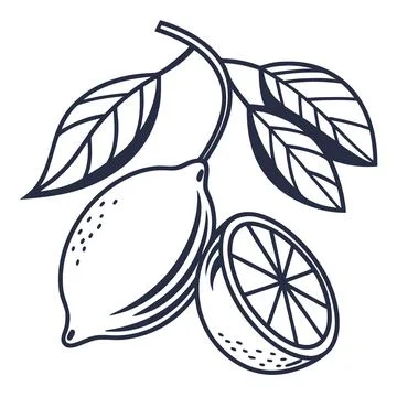 Fresh Lemon Fruit Vector Icon on White Background Stock Illustration