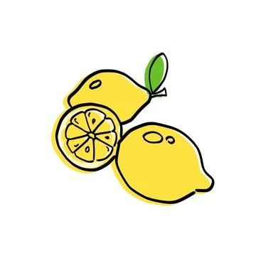 Fresh lemon illustration  Stock Illustration