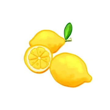 Fresh lemon illustration  Stock Illustration
